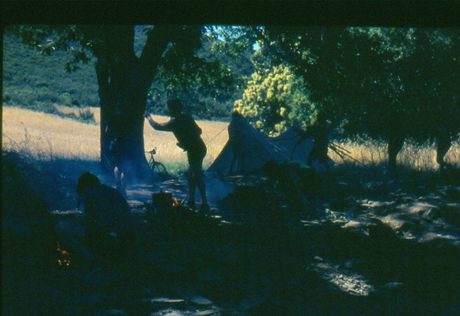 72