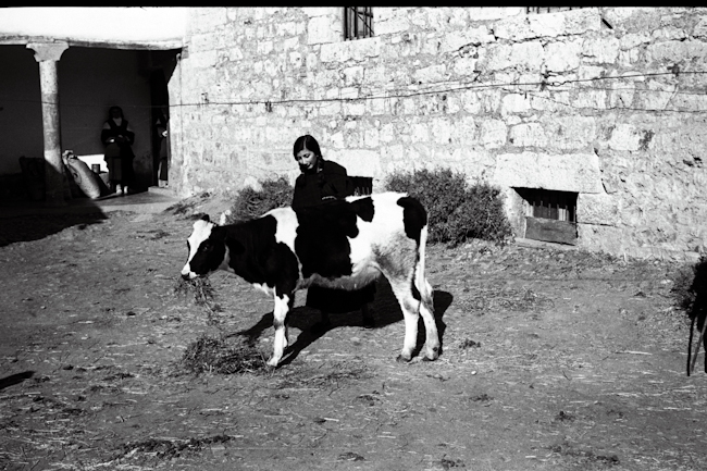 59